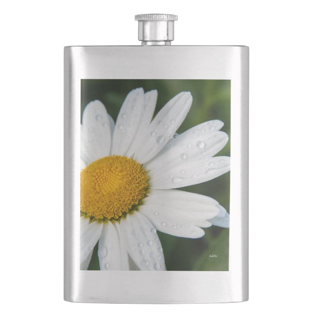Foto, ein margueritte machen Grün Flachmann (Vorderseite)
