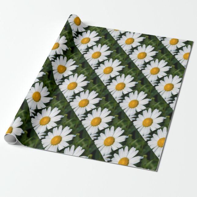 Foto, ein margueritte machen Grün Geschenkpapier (Ungerollt)