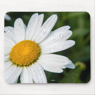 Foto, ein margueritte machen Grün Mousepad