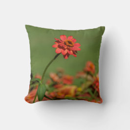 Foto eine rote Blume Kissen