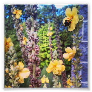 Foto einer Biene in einer wilden Blume