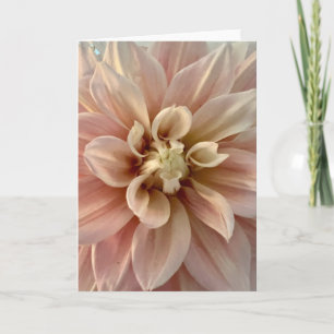 Foto einer Blume aus New England Blank Gruß Karte