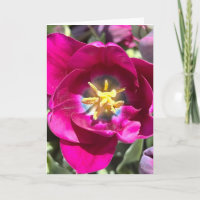 Foto einer Blume aus New England Blank Gruß