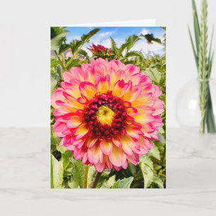 Foto einer Blume aus New England Blank Gruß Karte