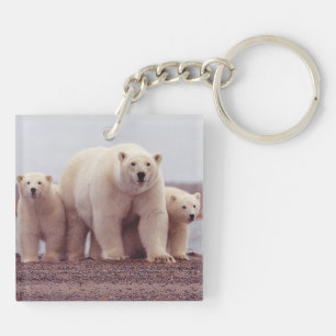 Foto einer Eisbärenfamilie mit Mutter und Jungen Schlüsselanhänger