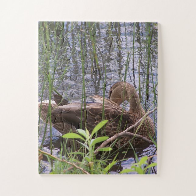 Foto einer Ente (Vertikal)