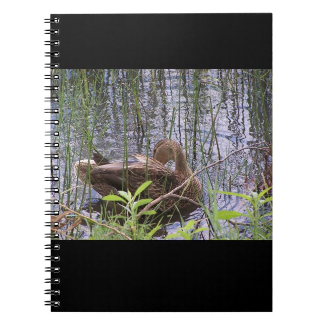 Foto einer Ente Notizblock (Vorderseite)