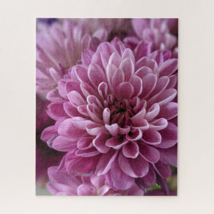 Foto einer rosa Blume