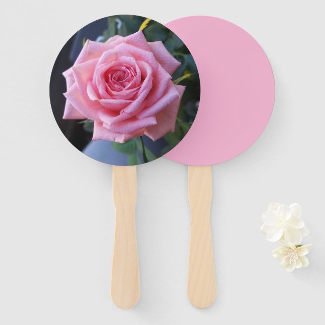 Foto einer rosa Rose auf einer Hand gehalten Fan Fächer (Vorne und Hinten)
