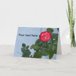 Foto einer Rose gegen eine graue Wand auf einer No Dankeskarte