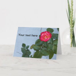 Foto einer Rose gegen eine graue Wand auf einer No Dankeskarte