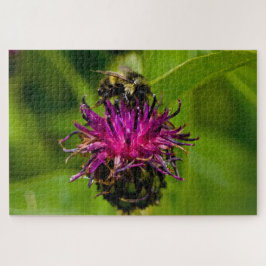 Foto einer wunderschönen lila Blume mit Honigbiene