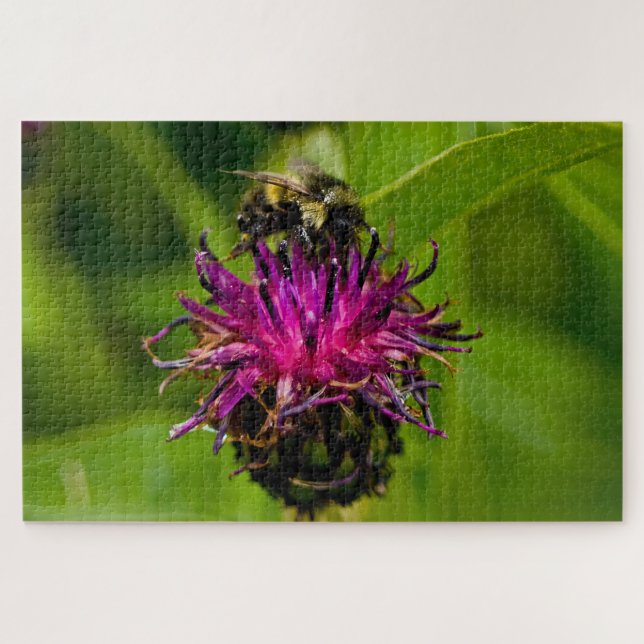 Foto einer wunderschönen lila Blume mit Honigbiene (Horizontal)