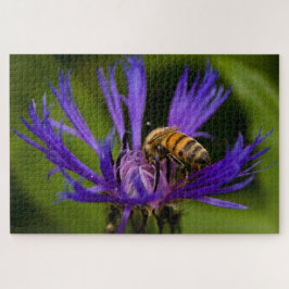 Foto einer wunderschönen lila Blume mit Honigbiene