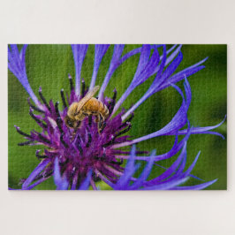 Foto einer wunderschönen lila Blume mit Honigbiene