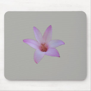 Foto einer zarten rosa Regenlilie auf einer Mousepad