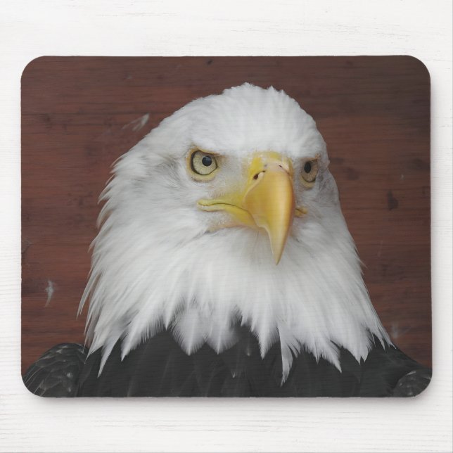 Foto eines Adlers, den ich in Dubuque, Iowa, aufge Mousepad (Vorne)
