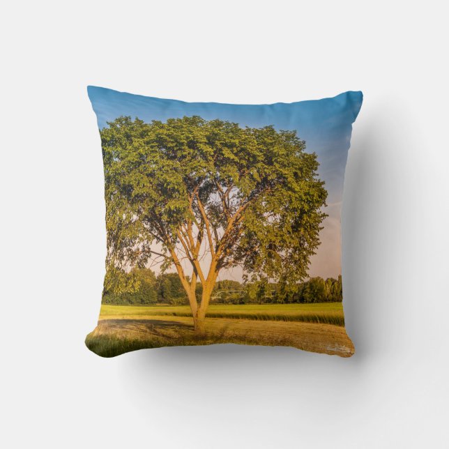 Foto eines Baumes in Feldern Kissen (Vorderseite)