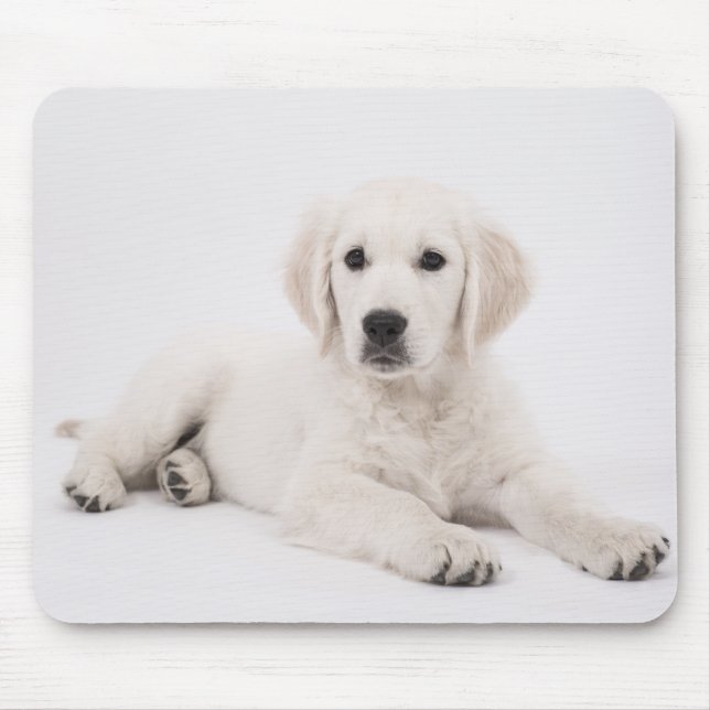 Foto eines Golden Retriever Welpen Mousepad (Vorne)