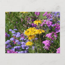 Foto eines Haufen wunderschöner farbiger Blume