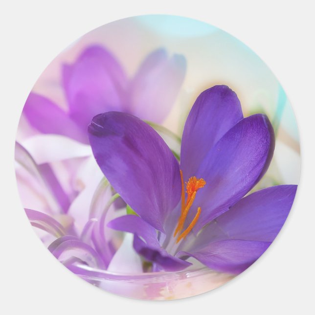 Foto eines Hübschen Lila Frühlingskrokus Runder Aufkleber (Vorderseite)