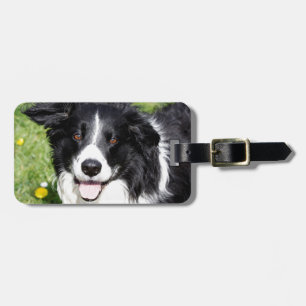Foto eines Hundes Gepäckanhänger