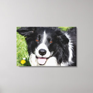 Foto eines Hundes Leinwanddruck
