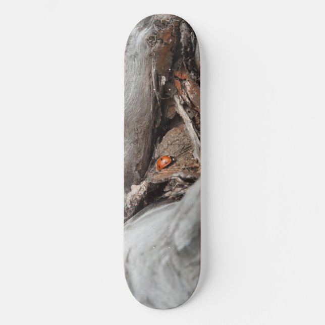 Foto eines Käfers Skateboard (Vorderseite)