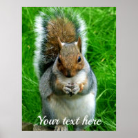 Foto eines Niedlichen Eichhörnchens in einem Garte