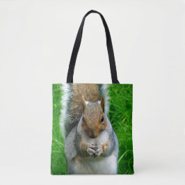 Foto eines Niedlichen Eichhörnchens in einem Garte Tasche