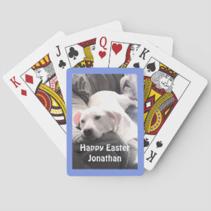 Foto eines Niedlichen hundemischen Hundes mit best Spielkarten