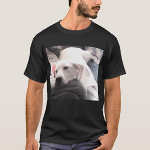 Foto eines Niedlichen hundemischen Hundes mit best T-Shirt