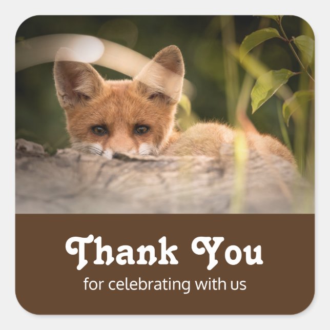 Foto eines Niedlichen kleinen Orange Fox Danke Quadratischer Aufkleber (Vorderseite)