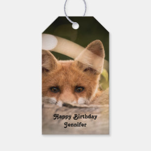 Foto eines Niedlichen kleinen Orangenfuchs zum Geb Geschenkanhänger