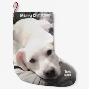 Foto eines Niedlichen, müde Welpenhundes mit Vater Kleiner Weihnachtsstrumpf