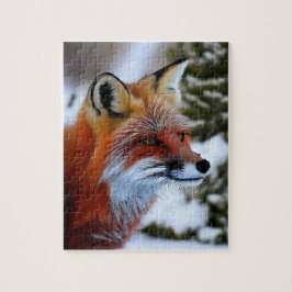 Foto eines Rotfuchs im Schnee