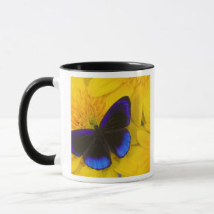Foto eines Schmetterlings Tasse