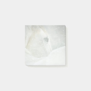 Foto eines schönen Weißen Pferdes im Winter Post-it Klebezettel