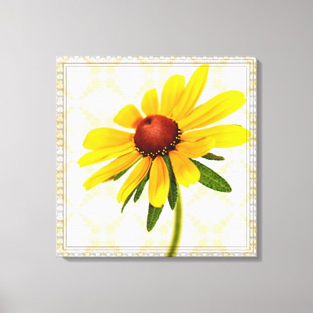 Foto eines Schwarz-Mit Augen Susan Blossom Leinwanddruck (Vorderseite)