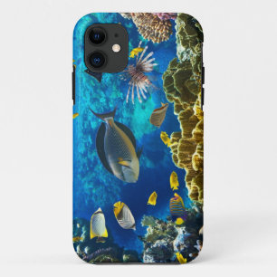 Foto eines tropischen Fisches auf einem iPhone 11 Hülle