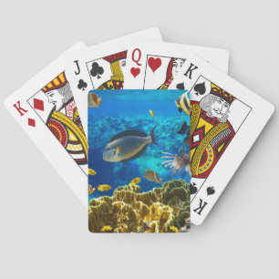 Foto eines tropischen Fisches auf einem Spielkarten