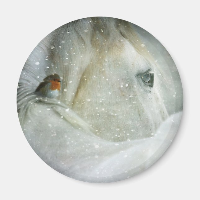 Foto eines Weißen Pferdes und Vogels im Winter Magnet (Vorne)