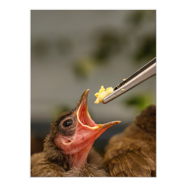 Foto-Erweiterung Fotodruck (Vorne)