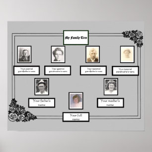Foto Familienbaum Rose Zeichnend Grenze auf Grau Poster