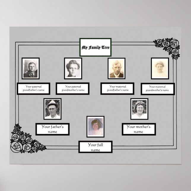 Foto Familienbaum Rose Zeichnend Grenze auf Grau Poster (Vorne)