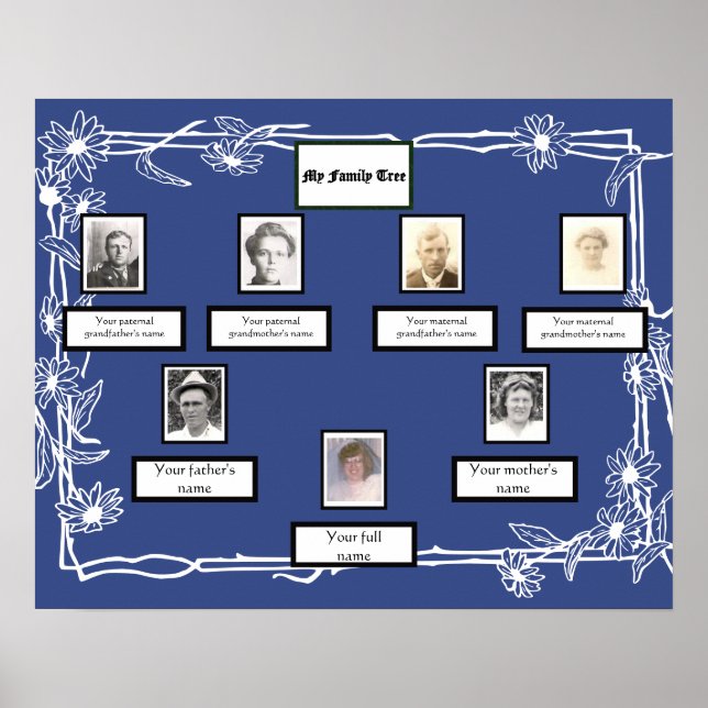 Foto Family Tree Daisy Art Border on Blue Poster (Vorne)