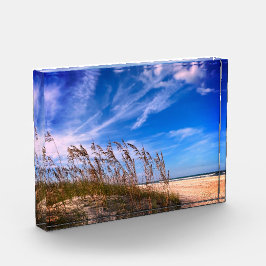Foto "Florida Sea Oats"