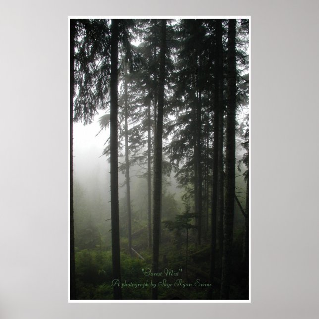 Foto "FOREST MIST" im Wildniswald Poster (Vorne)