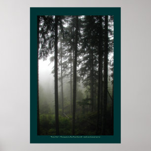 Foto "FOREST MIST" im Wildniswald Poster