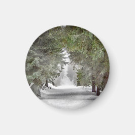 Foto "Forest Road Snow Pine Tree" Magnet